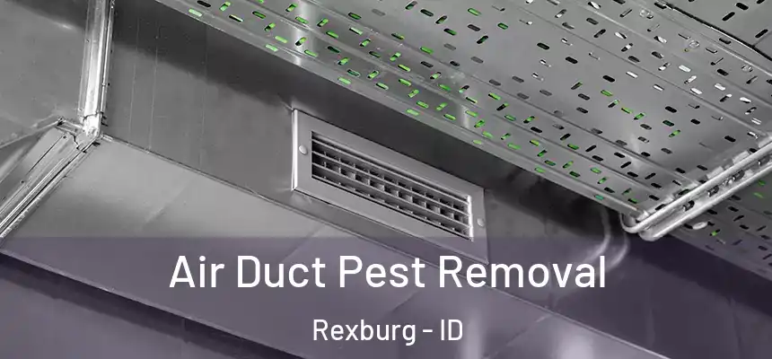  Air Duct Pest Removal Rexburg - ID
