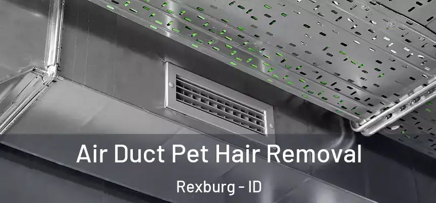 Air Duct Pet Hair Removal Rexburg - ID