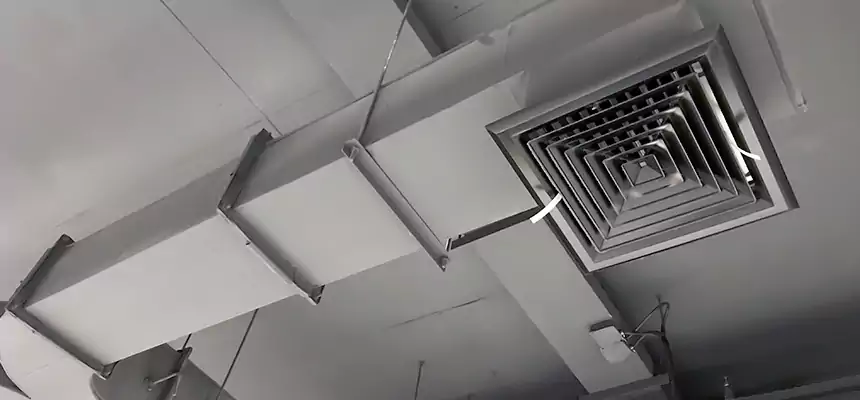 Restorative Allergy Relief Vent Cleaning – Coil, Blower & Housing Detail in Rexburg