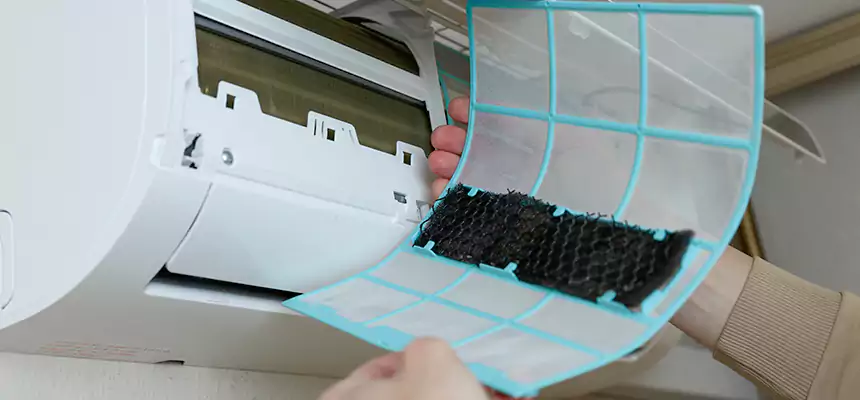 Gentle Ductwork Odor-Control Pet Dander Duct Cleaning in Rexburg, ID