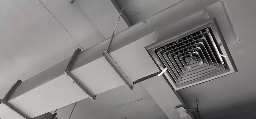 Our Rodent Droppings In Vents Services in Rexburg, ID