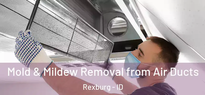  Mold & Mildew Removal from Air Ducts Rexburg - ID