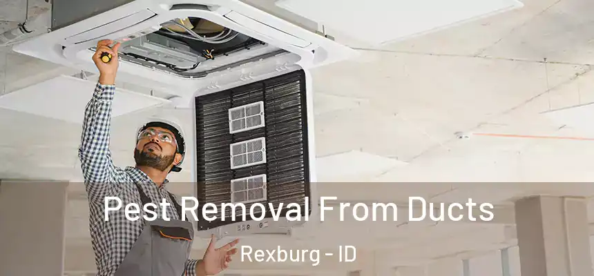  Pest Removal From Ducts Rexburg - ID