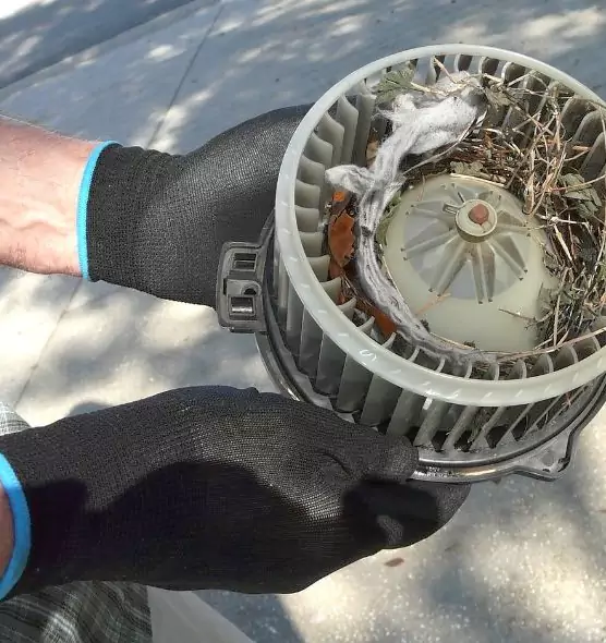 About Air Duct Mice Removal in Rexburg, ID