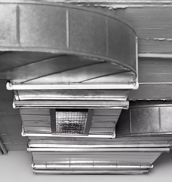 Professional Air Duct Pest Removal in Rexburg, ID