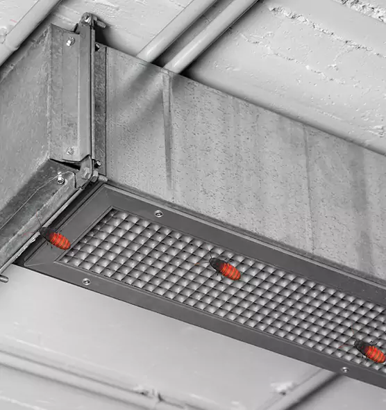 Affordable Insect Removal from Air Ducts in Rexburg, ID